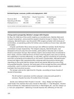 business strategy a guide to effective decision making phần 6 pot