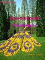 Giáo án điện tử tiểu học: tiếng anh - play a game 1 pdf