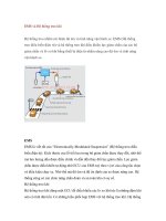 EMS và Hệ thống treo khí pot