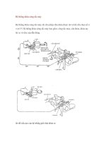 Hệ thống khóa công tắc máy pptx