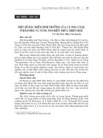 Báo cáo nghiên cứu khoa học 