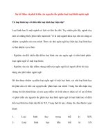 Sự kế thừa và phát triển các nguyên tắc phân loại loại hình ngôn ngữ ppsx