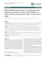 báo cáo khoa học: 