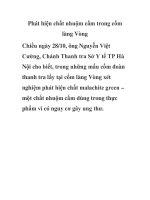 Phát hiện chất nhuộm cấm trong cốm làng Vòng pptx