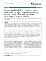 báo cáo khoa học: 