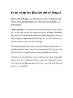 Sơ mi trắng lịch lãm cho quý cô công sở docx