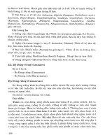 Thực vật dược part 10 pps