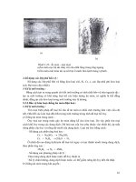 Giáo trình hình thành hệ thống ứng dụng sự định hướng của hệ trượt trong đơn tinh thể p4 ppsx