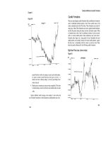 candlestick charting explained phần 8 pdf