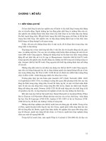 Các nguyên lý của dòng chảy chất lỏng và sóng mặt trong sông, cửa sông, biển và đại dương - Chương 1 pptx