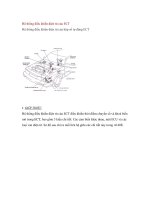 Hệ thống điều khiển điện tử của ECT potx