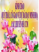 Giáo án điện tử tiểu học môn lịch sử: Quyết chí ra đi tìm đường cứu nước pptx