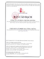 BẢN CÁO BẠCH CÔNG TY CỔ PHẦN ÁNH DƯƠNG NĂM 2009 ppt