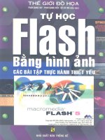 Tự học Flash bằng hình ảnh part 1 ppt