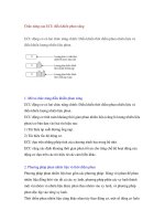 Chức năng của ECU điều khiển phun xăng pot