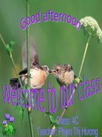 Giáo án điện tử tiểu học môn tiếng anh: Tiếng anh lớp 4 ppt