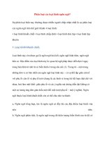 Phân loại các loại hình ngôn ngữ potx