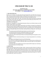 Công nghệ bê tông tự rèn docx