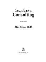 getting started in consulting second edition phần 1 pot