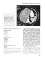 Fatty Liver Disease : Nash and Related Disorders - part 6 docx
