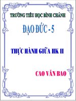 Giáo án điện tử tiểu học môn đạo đức: Đạo đức lớp 5 ppt