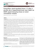 Extracellular signal-regulated kinase 1/2 plays a pro-life role in experimental brain stem death via MAPK signal-interacting kinase at rostral ventrolateral medulla pps