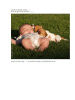 uộc đời nó bắt đầu từ đây docx