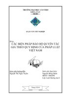 các biện pháp bảo hộ quyền tác giả theo quy định của pháp luật việt nam