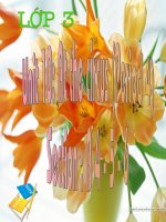 Giáo án điện tử tiểu học: tiếng anh lớp 5 UNIT 10 AT THE CIRCUS docx