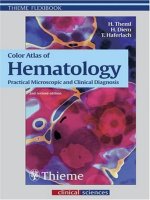 Theml, Color Atlas of Hematology - part 1 pptx