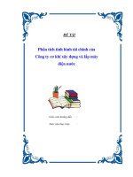 Đề tài Phân tích tình hình tài chính của Công ty cơ khí xây dựng và lắp máy điện nước docx