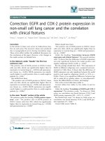 báo cáo khoa học: 