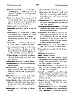 Từ điển Đức – Việt part 5 docx