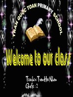 Giáo án điện tử tiểu học: Tiếng anh- Some more pot