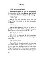 Hội chứng rối loạn sinh sản và hô hấp và bệnh liên cầu khẩn ở lợn 7 doc