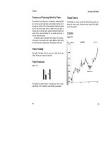 candlestick charting explained phần 6 pdf