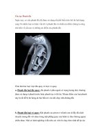 Cấu tạo Phanh đĩa docx