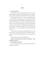 Quản lý rủi ro tín dụng trong cho vay đầu tư tại sở giao dịch i – ngân hàng phát triển việt nam