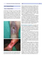 Wound Healing and Ulcers of the Skin - part 3 ppsx