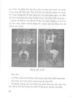 Thể dục thể hình – Phương pháp tập luyện part 4 pptx