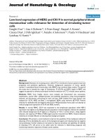 báo cáo khoa học: 