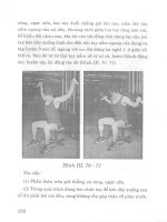 Thể dục thể hình – Phương pháp tập luyện part 6 pdf