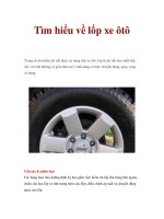 Tìm hiểu về lốp xe ôtô ppsx