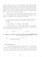 Các nhạc khí trong dàn nhạc giao hưởng part 4 pptx