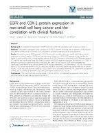 báo cáo khoa học: 