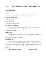 Tiết 24:MIÊU TẢ VÀ BIỂU CẢM TRONG VĂN TỰ SỰ doc