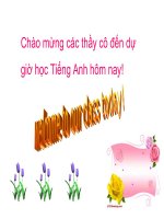 Giáo án điện tử tiểu học môn tiếng Anh: Things we can do potx