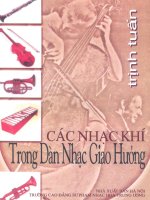 Các nhạc khí trong dàn nhạc giao hưởng part 1 pot