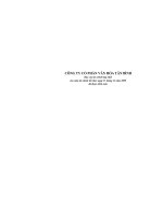 CÔNG TY CỔ PHẦN VĂN HÓA TÂN BÌNH - BÁO CÁO TÀI CHÍNH NĂM 2009 ĐÃ KIỂM TOÁN potx