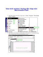 Giáo trình window: Hướng dẫn nhập môn Macromedia Flash phần 1 doc